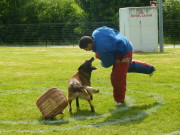 garde ferme